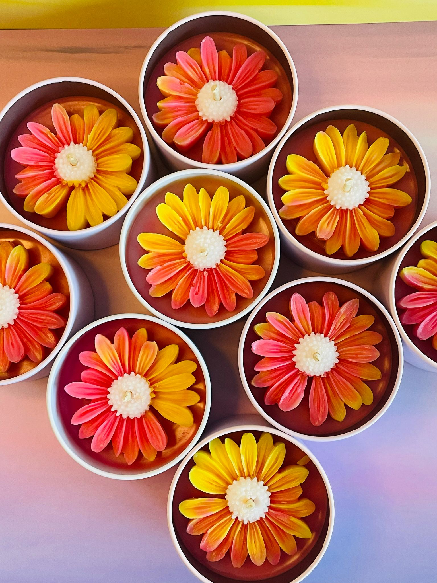 Daisy delight - imagine 2